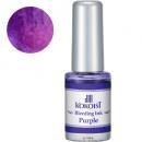 KOKOIST ブリーディングインク 5ml  パープル
