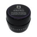 GELGRAPH ソリッドベース 10g