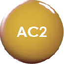 PAAC2 パラジェル カラージェル4g トパーズクリア