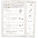 ラッシュドール ホームケアカード 100枚セット