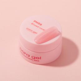 パラジェル ピンクライン 3g プリストコーラル PN06