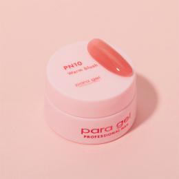 パラジェル ピンクライン 3g ウォームブラッシュ PN10