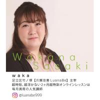 WSPT 超時短ビットセット 5本