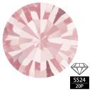 プレシオサ SS24 Vカットライトローズ 20P
