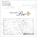写ネイル+ Font Box -Silver- AYAKO-PFB02