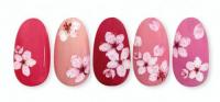 写ネイル ワンポント 桜B OPS-021