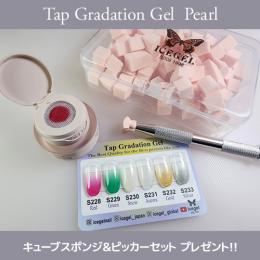 アイスジェル ジェントロンタップグラデーション パール6色