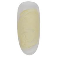 PRESTO パテジェル 2.7g PT009