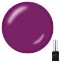 KOKOIST ボトルンゴー 10ml BC-34