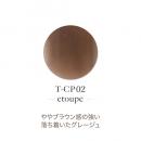 TOYsXINITY アクリルカラーP 7g エトープ T-CP02