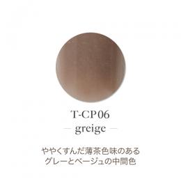 TOYsXINITY アクリルカラーP 7g グレージュT-CP06