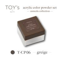 TOYsXINITY アクリルカラーP 7g グレージュT-CP06