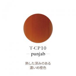 TOYsXINITYアクリルカラーP 7g パンジャブT-CP10