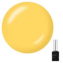 KOKOIST ボトルンゴー 10ml BC-38