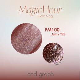 GELGRAPH カラージェル FM100 ジューシーティント