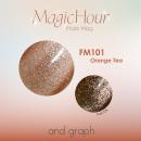 GELGRAPH カラージェル FM101 オレンジ