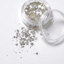 フルーリア ホログリッター シルバー01 2g