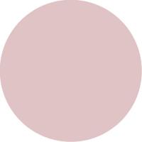 ネイルデダンス パウダー スウィング SW-5 20g