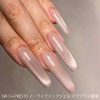 ネイルデダンス パウダー スウィング SW-5 20g