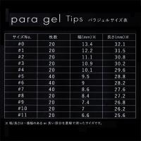 PA70 パラジェル チップス