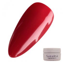Sazalea カラージェル 4g 34 ターコイズレッド
