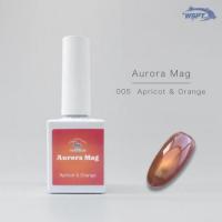 WSPT オーロラマグ 6色セット