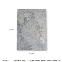 TOYs it ディスプレーボード2