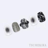 ツメキラ チークカラー ブラックXパープル NN-HIT-004