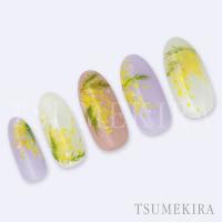 ツメキラ ミモザガーデン NN-HIR-002