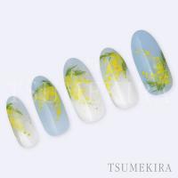 ツメキラ ミモザガーデン NN-HIR-002