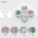 WSPT torta グリッター 4色セット type1