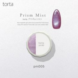 WSPT torta マグネットジェル プリズムミストpm005