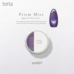 WSPT torta マグネットジェル プリズムミストpm007