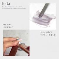 WSPT torta マグネットミラーP 超微粒子 uu001