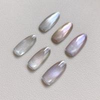 WSPT torta マグネットミラーP 超微粒子 uu003