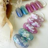 WSPT tortaマグネットジェルクリスタルドロップcd005