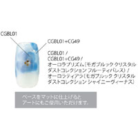 カルジェル カラージェル ブルー 4g CGBL01S