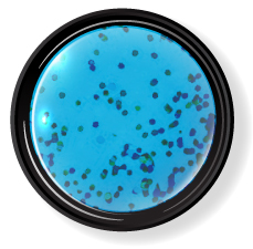 プティール カラージェル 2g 616 ストーンブルー