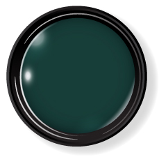 プティール カラージェル 2g 510 アーミー