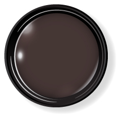 プティール カラージェル 2g 511 セピア