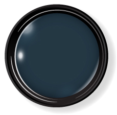 プティール カラージェル 2g 513 ディープネイビー