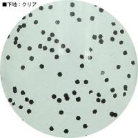 MATIERE マッティーグリッター ブラック 1g