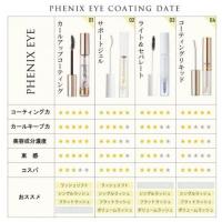 プロラッシュ PHENIXコーティングリキッドBK RE 1本