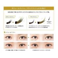 プロラッシュ PHENIX コーティングリキッド BKR 12本