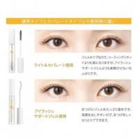 プロラッシュ PHENIX ライト&セパレート 12本入TP13