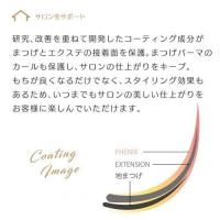 プロラッシュ PHENIX ライト&セパレート 12本入TP13