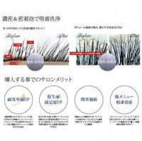 プロラッシュ ジェントリーホイップシャンプーPRO R08