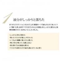 プロラッシュ 前処理用アイラッシュリファインプラス R10