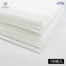 WSPT フィルターシートハニカム/シルフィー用 100P