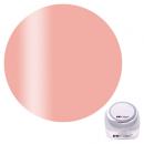 カルジェルプラス ベージュローゼ 2.5g CGS02BE